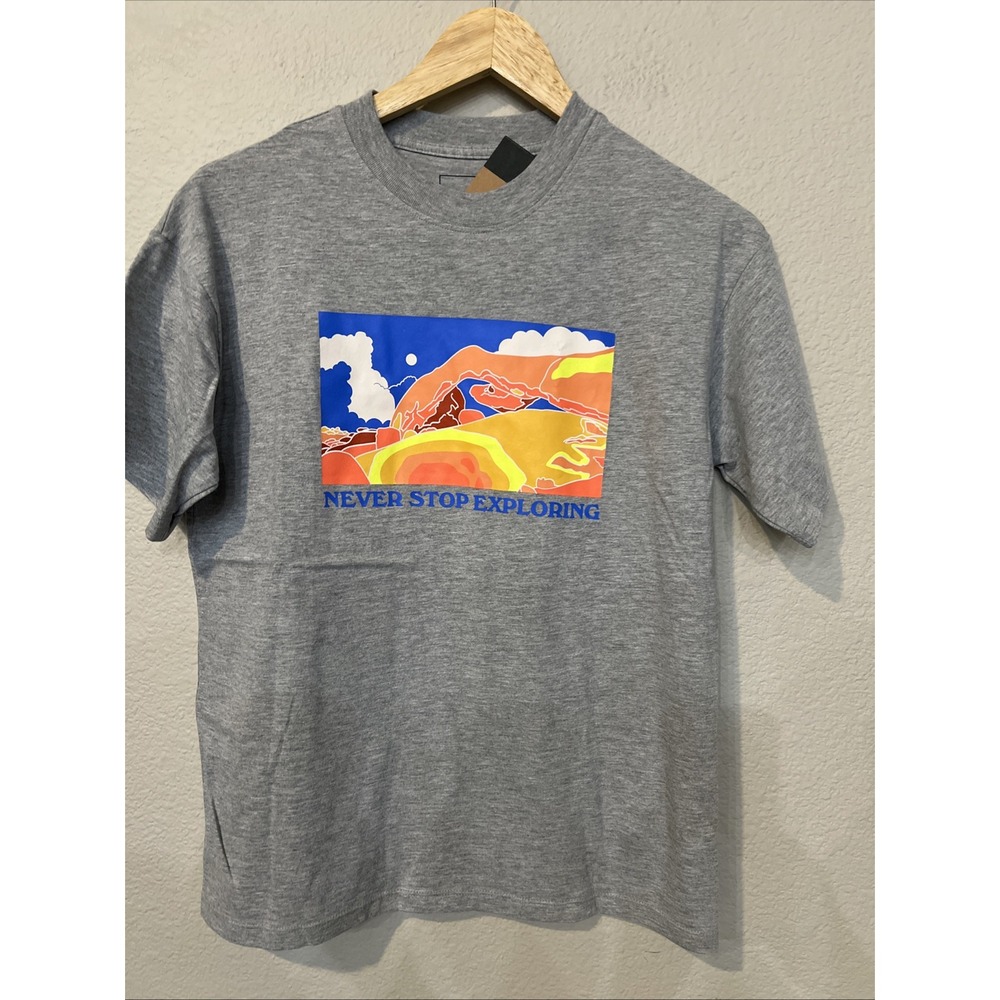 The North Face Places We Love GRAY HEATHER graphic SS T-shirt X-SMALL